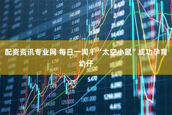 配资资讯专业网 每日一闻丨“太空小鼠”成功孕育幼仔