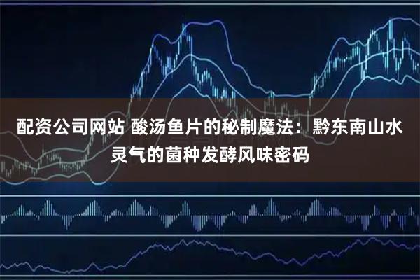 配资公司网站 酸汤鱼片的秘制魔法：黔东南山水灵气的菌种发酵风味密码
